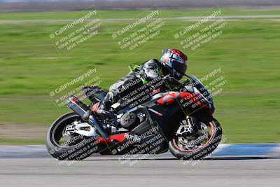 media/Feb-18-2024-Lets Ride (Sun) [[2a9a2d1337]]/B group/Turn Exit/